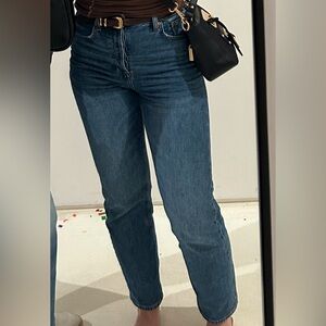 Aritzia Arlo High Rise Straight